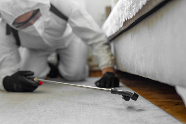 Professional Bed Bug Control technician working in Blacksburg, VA