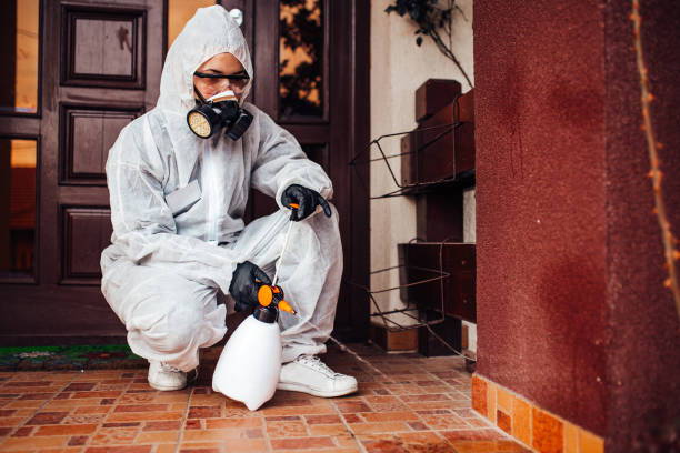 Reliable Bed Bug Control contractor in Blacksburg, VA by Nex Pest Control