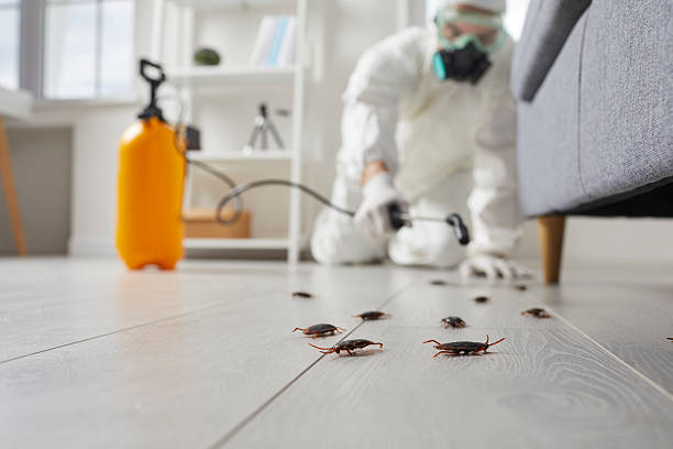 Trusted Termite Control service in Blacksburg, VA - Nex Pest Control