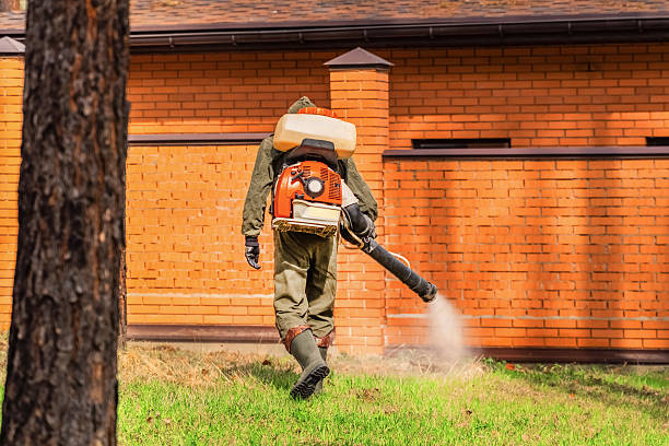 Trusted Cockroach Control service in Blacksburg, VA - Nex Pest Control